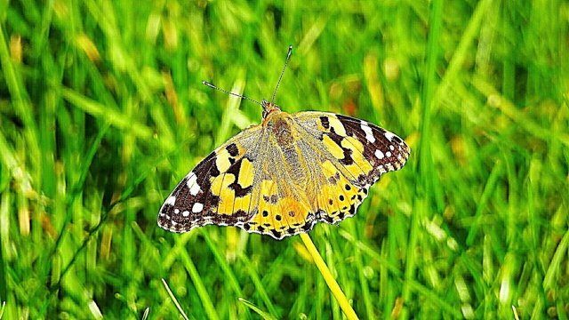 Csodálatos természet 15